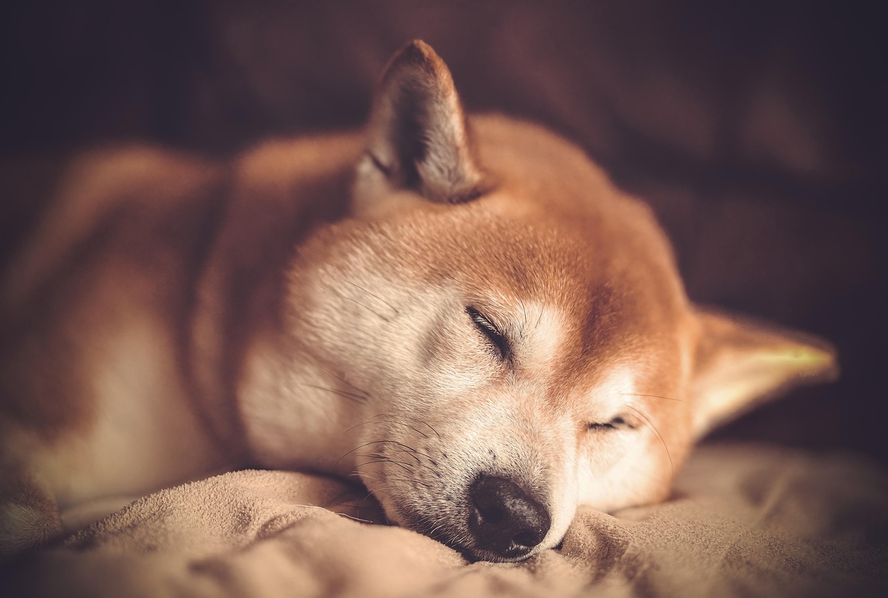 今すぐお問い合わせを！